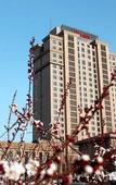 Туры в отель Garden International Hotel Туры в отель Garden International Hotel