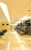 Туры в отель Garden International Hotel Туры в отель Garden International Hotel