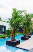 Туры в отель B2 Mae Hong Son Premier Hotel Туры в отель B2 Mae Hong Son Premier Hotel