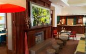 Туры в отель Hilton Garden Inn Tampa East/Brandon Туры в отель Hilton Garden Inn Tampa East/Brandon