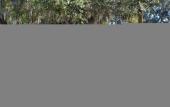 Туры в отель Hilton Garden Inn Tampa East/Brandon Туры в отель Hilton Garden Inn Tampa East/Brandon