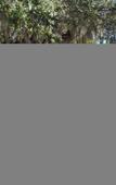 Туры в отель Hilton Garden Inn Tampa East/Brandon Туры в отель Hilton Garden Inn Tampa East/Brandon