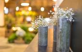 Туры в отель Maosao Inn Туры в отель Maosao Inn