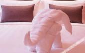 Туры в отель Hotel COZi Resort Туры в отель Hotel COZi Resort