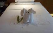 Туры в отель Fairfield by Marriott Xinkai Plaza Туры в отель Fairfield by Marriott Xinkai Plaza