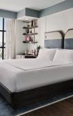 Туры в отель Thompson Washington D.C., by Hyatt Туры в отель Thompson Washington D.C., by Hyatt