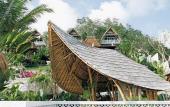 Туры в отель White Tortoise Eco Villa's Туры в отель White Tortoise Eco Villa's