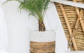 Туры в отель White Tortoise Eco Villa's Туры в отель White Tortoise Eco Villa's