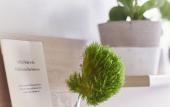 Туры в отель The Baltic Hotel Туры в отель The Baltic Hotel