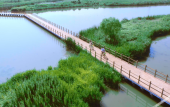 Туры в отель Hyatt Regency Ningbo Hangzhou Bay Туры в отель Hyatt Regency Ningbo Hangzhou Bay