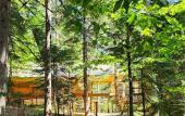 Туры в отель «Горы Village» отель Туры в отель «Горы Village» отель