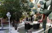 Туры в отель Escala SUITES Туры в отель Escala SUITES