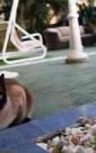 Туры в отель Escala SUITES Туры в отель Escala SUITES