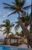 Туры в отель Lotus Beach Hotel - Adults Only Туры в отель Lotus Beach Hotel - Adults Only