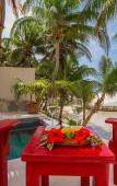 Туры в отель Lotus Beach Hotel - Adults Only Туры в отель Lotus Beach Hotel - Adults Only