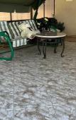 Туры в отель «У Генриха» гостевой дом Туры в отель «У Генриха» гостевой дом