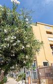 Туры в отель Hedone Design Experience B&B Туры в отель Hedone Design Experience B&B