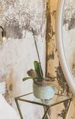 Туры в отель Hedone Design Experience B&B Туры в отель Hedone Design Experience B&B