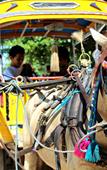 Туры в отель Gili Sands Hotel & Bar Туры в отель Gili Sands Hotel & Bar