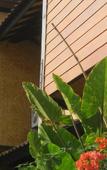Туры в отель Gili Sands Hotel & Bar Туры в отель Gili Sands Hotel & Bar