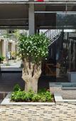 Туры в отель Gili Sands Hotel & Bar Туры в отель Gili Sands Hotel & Bar