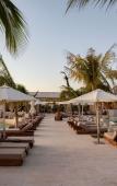 Туры в отель Motto by Hilton Tulum Туры в отель Motto by Hilton Tulum