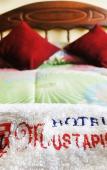 Туры в отель Hotel Mustapic Туры в отель Hotel Mustapic