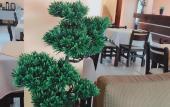 Туры в отель Hotel Amayal Туры в отель Hotel Amayal