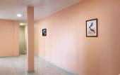 Туры в отель Hotel Amayal Туры в отель Hotel Amayal