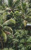 Туры в отель Lintang Luku Tent Resort Ijen, Banyuwangi Туры в отель Lintang Luku Tent Resort Ijen, Banyuwangi