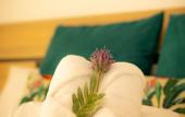 Туры в отель Hostal Ventura Premium Туры в отель Hostal Ventura Premium