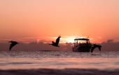 Туры в отель Alito Tulum Hotel Туры в отель Alito Tulum Hotel