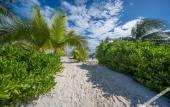Туры в отель Alito Tulum Hotel Туры в отель Alito Tulum Hotel