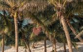 Туры в отель Alito Tulum Hotel Туры в отель Alito Tulum Hotel