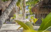 Туры в отель Alito Tulum Hotel Туры в отель Alito Tulum Hotel