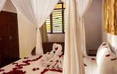 Туры в отель Alito Tulum Hotel Туры в отель Alito Tulum Hotel