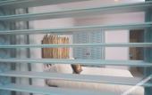 Туры в отель Alito Tulum Hotel Туры в отель Alito Tulum Hotel