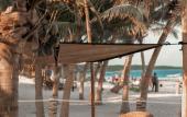 Туры в отель Alito Tulum Hotel Туры в отель Alito Tulum Hotel