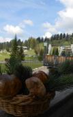 Туры в отель Hotel Castel Latemar Туры в отель Hotel Castel Latemar