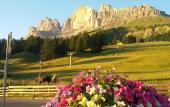 Туры в отель Hotel Castel Latemar Туры в отель Hotel Castel Latemar