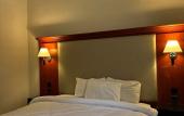 Туры в отель Amman Pasha Hotel DOWNTOWN Туры в отель Amman Pasha Hotel DOWNTOWN