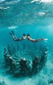 Туры в отель sea shell resort Туры в отель sea shell resort