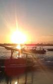 Туры в отель sea shell resort Туры в отель sea shell resort