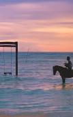 Туры в отель sea shell resort Туры в отель sea shell resort