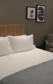 Туры в отель HIGI HOTEL SAO PAULO Туры в отель HIGI HOTEL SAO PAULO