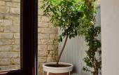 Туры в отель Maison Soleil Туры в отель Maison Soleil