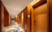 Туры в отель Hilton Garden Inn Hefei Feixi Туры в отель Hilton Garden Inn Hefei Feixi