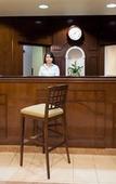Туры в отель Staybridge Suites Orlando Airport South by IHG Туры в отель Staybridge Suites Orlando Airport South by IHG