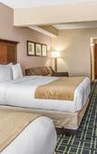 Туры в отель Comfort Suites Tamarac Sawgrass Туры в отель Comfort Suites Tamarac Sawgrass