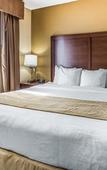 Туры в отель Comfort Suites Tamarac Sawgrass Туры в отель Comfort Suites Tamarac Sawgrass